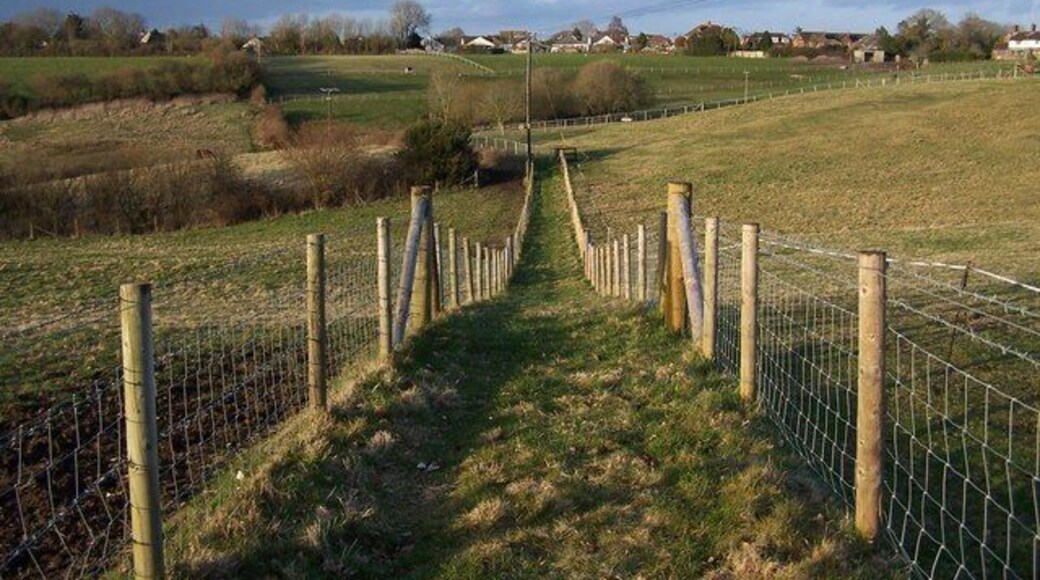 Footpath towards Woodfalls