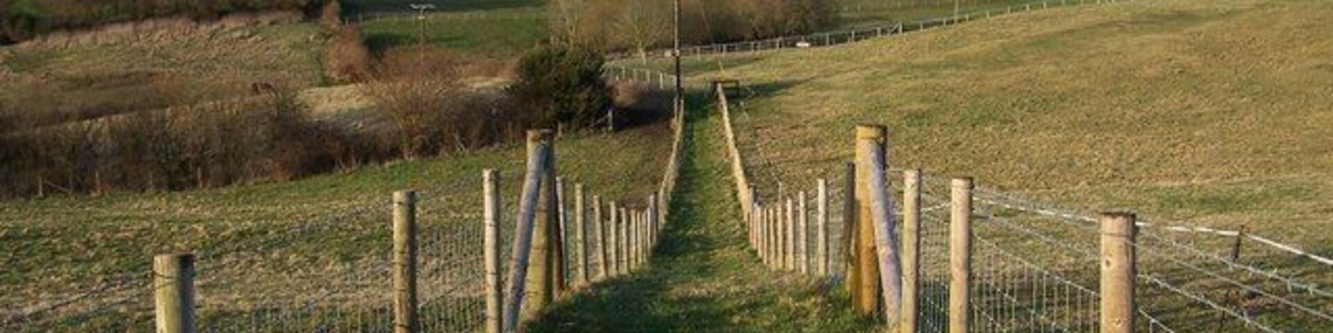 Footpath towards Woodfalls