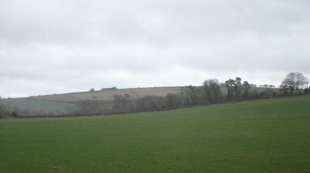 Downland near Bowerchalke