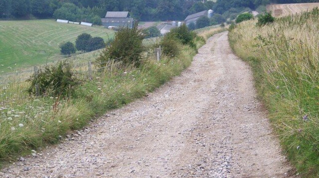 Manor Farm, Burcombe View of Manor Farm taken from the byway from Hunts Down.