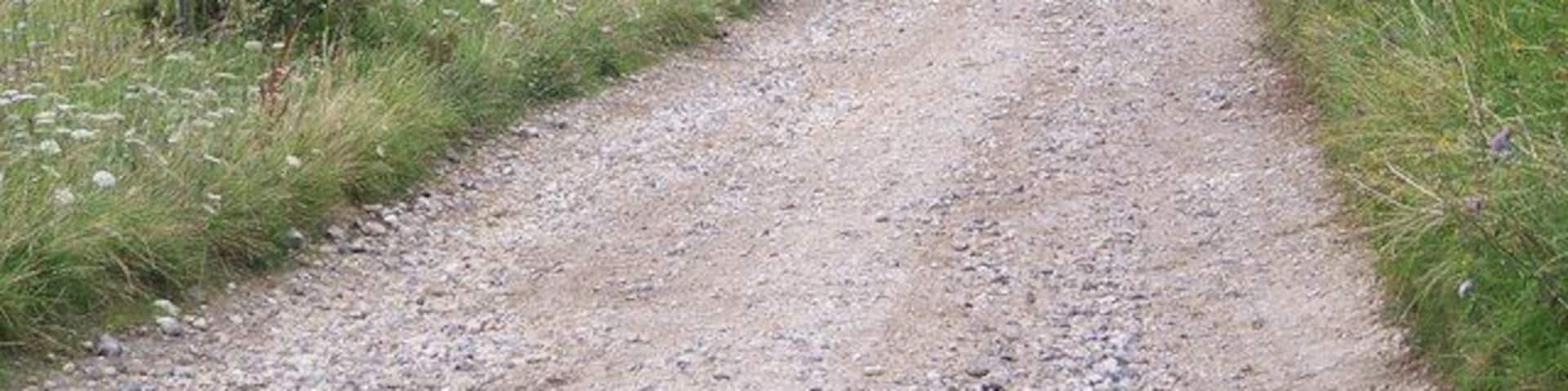 Manor Farm, Burcombe View of Manor Farm taken from the byway from Hunts Down.