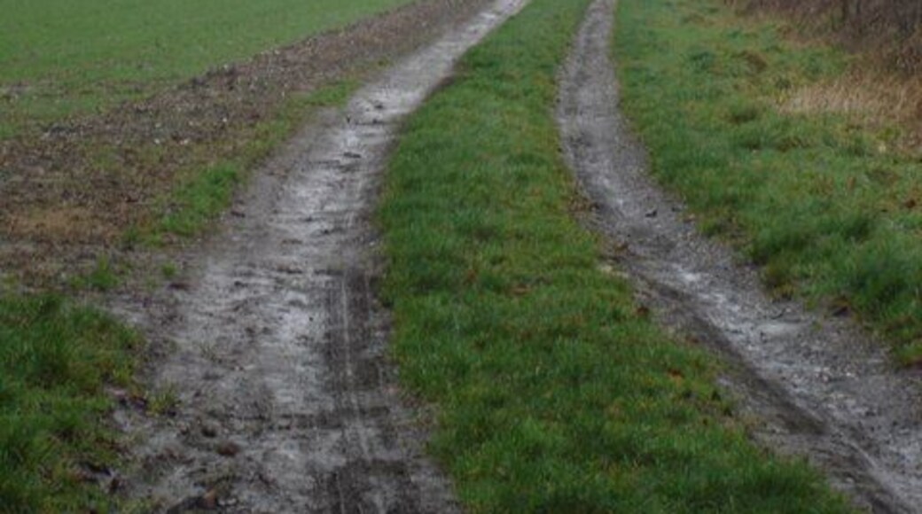Track across Hill Farm