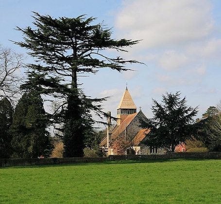 All Saint's church, Whiteparish Seen from the playing fields.