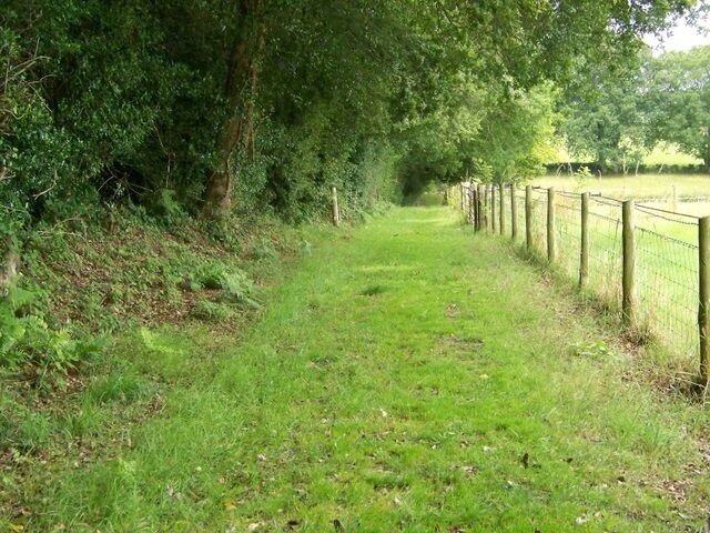 Bridleway near Lover The bridleway passes down the side of Tinney's Firs on its way to Redlynch.