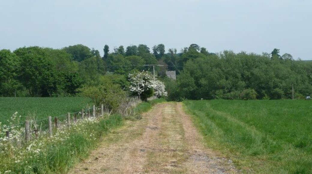 Straight line to St. Peter's View east from the B3083 Berwick Road, Winterbourne Stoke.