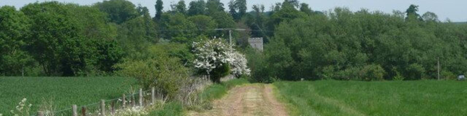 Straight line to St. Peter's View east from the B3083 Berwick Road, Winterbourne Stoke.