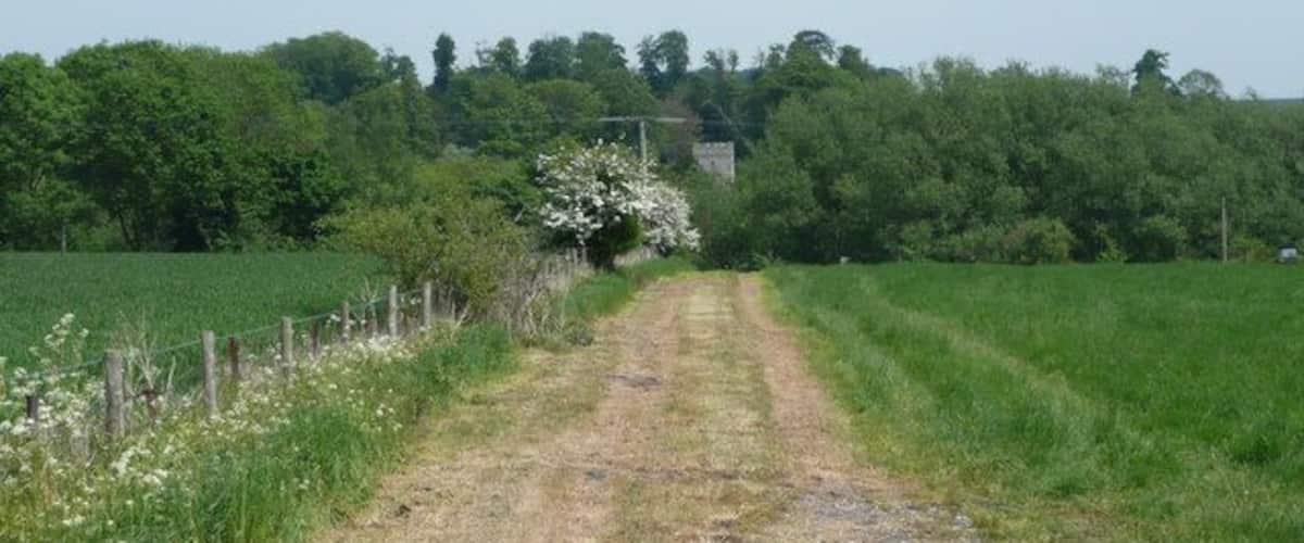 A rural dirt road flanked by fields and trees.