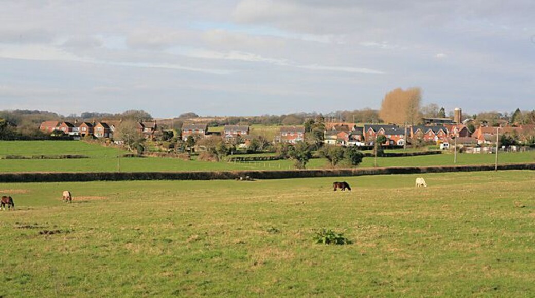 Western end of The Street, Whiteparish seen from Clay Street Newton Lane crosses the picture in foreground, shown by the hedge line.