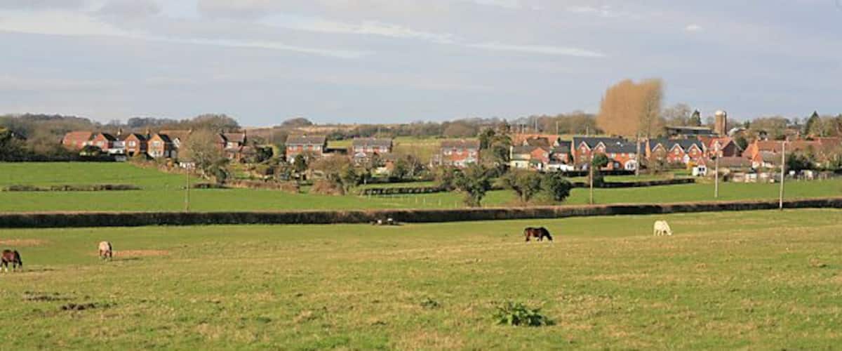 A rural landscape with green fields, a few horses grazing, and houses in the background.