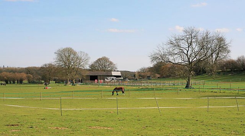 Whites Park Equestrian, Newton Seen from footpath. There is a blue line in front of the buildings.