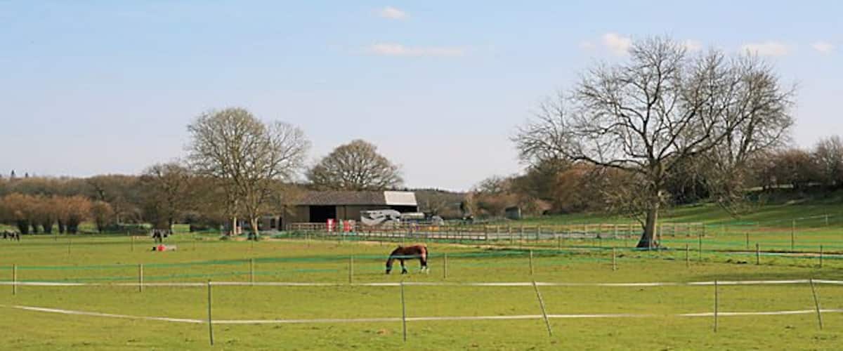 Whites Park Equestrian, Newton Seen from footpath. There is a blue line in front of the buildings.