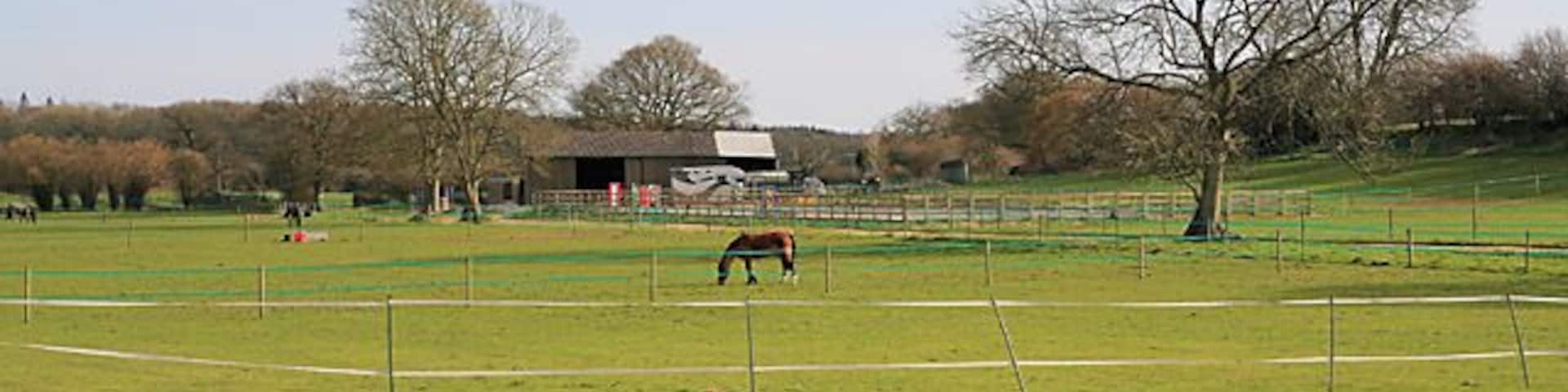 Whites Park Equestrian, Newton Seen from footpath. There is a blue line in front of the buildings.