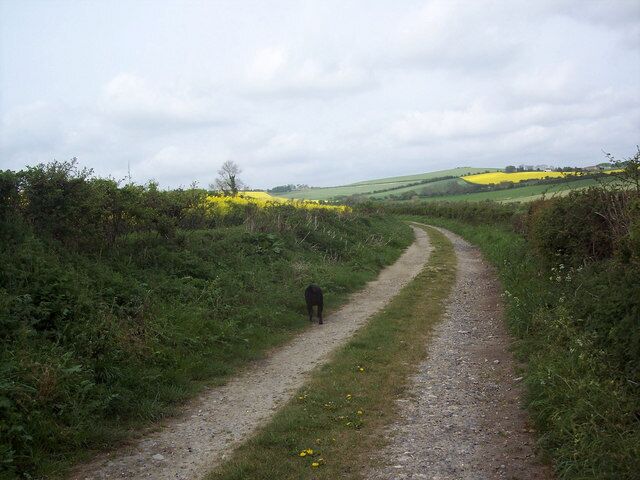 Bridleway near Bowerchalke