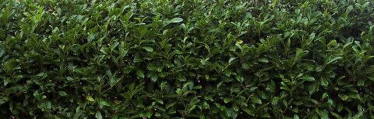 The Tower at Tower House with Post Box