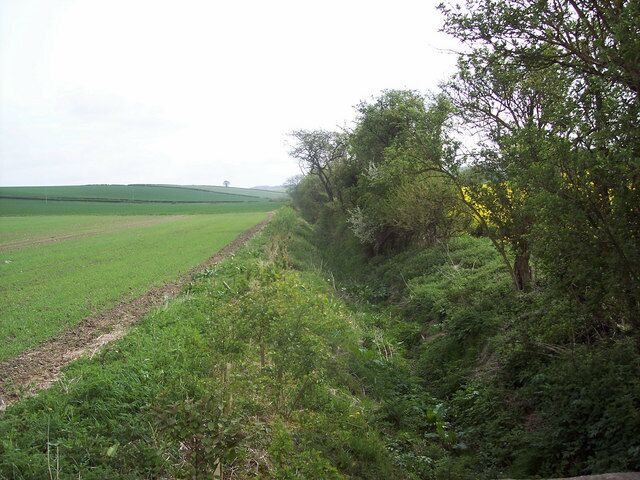 A rural landscape with a dirt path, green fields, and dense shrubbery.