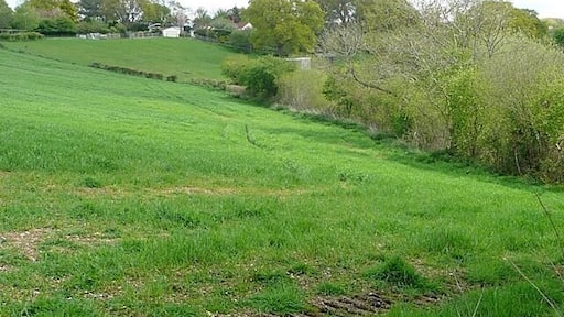 Towards North Charford The steep side valleys of the Avon provide pasture interspersed with woodland.