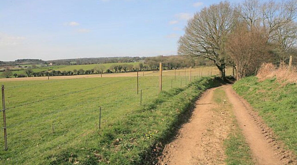 Bridleway NW of Tower Farm. Whiteparish