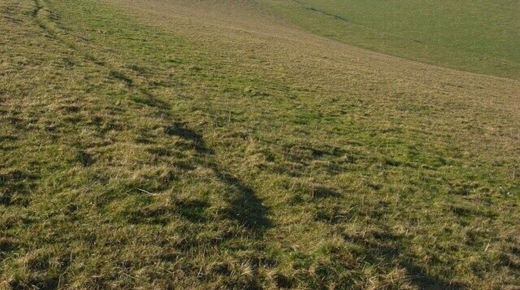Parsonage Down A sheep track here contours the hillside with an earthwork in evidence in the valley below.