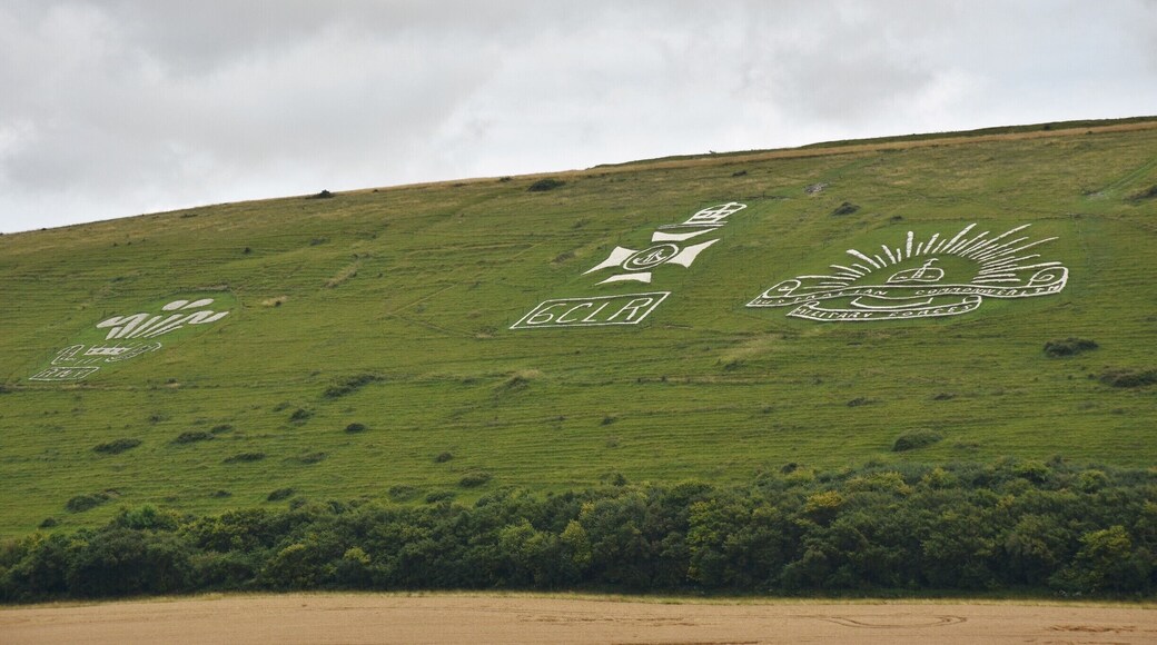 Cranborne Chase and the West Wiltshire Downs
