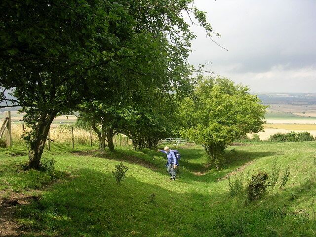 The Wolds Way above Ganton. Apparently on the line of an old sunken lane