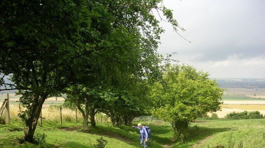 The Wolds Way above Ganton. Apparently on the line of an old sunken lane