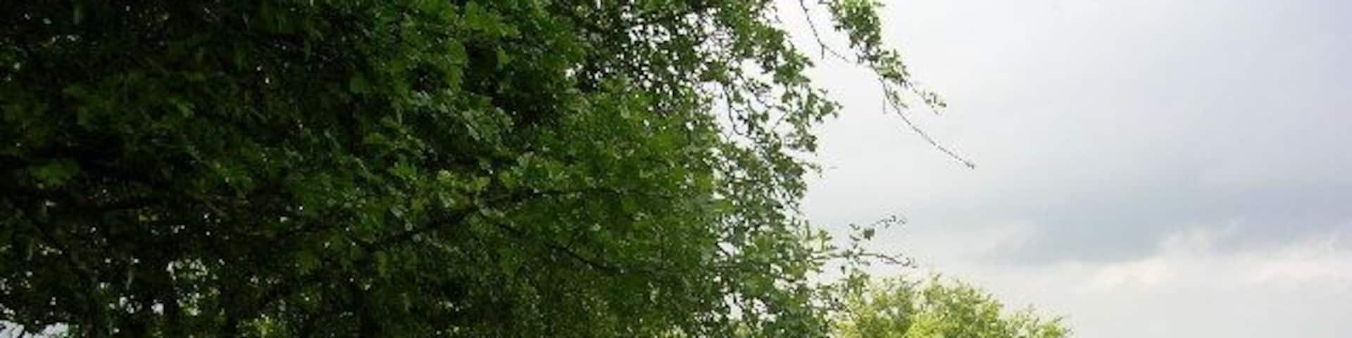 The Wolds Way above Ganton. Apparently on the line of an old sunken lane