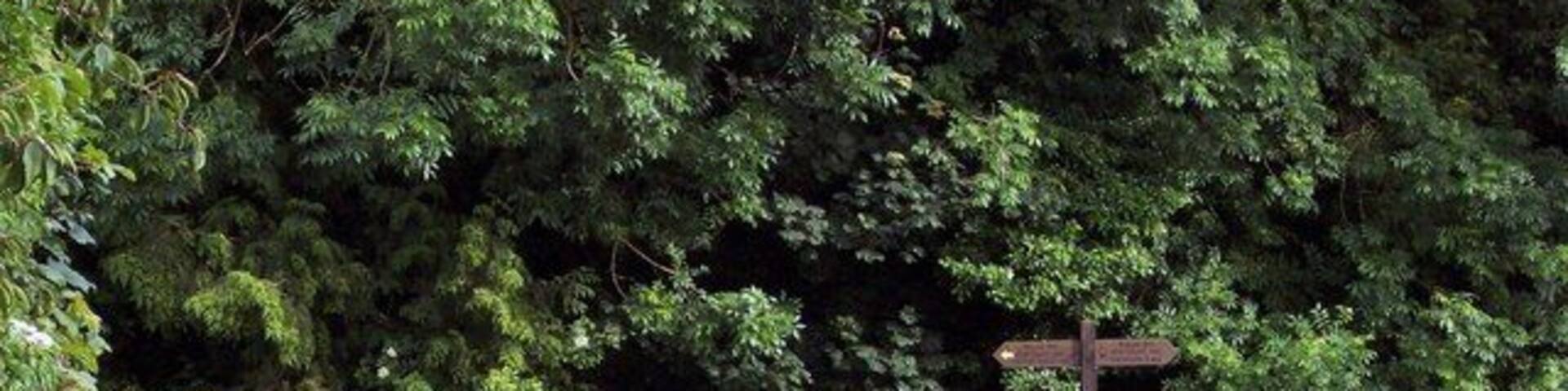 Sign for the Wolds Way and Centenary Way, Ganton