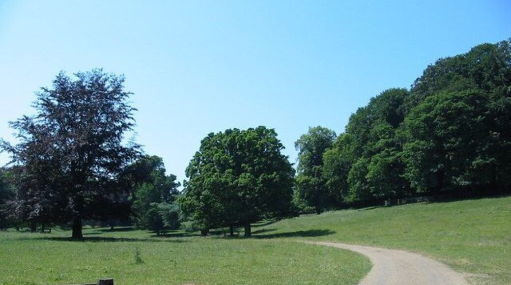 Driveway leading into Wykeham Estate.