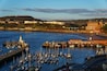 A harbor with numerous boats docked, a lighthouse, and a bridge in the background.