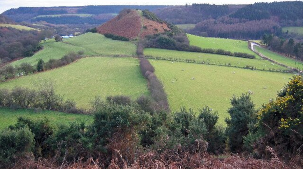 Howden Hill. View south from Langdale Rigg to Howden Hill with the hamlet of Langdale End beyond.