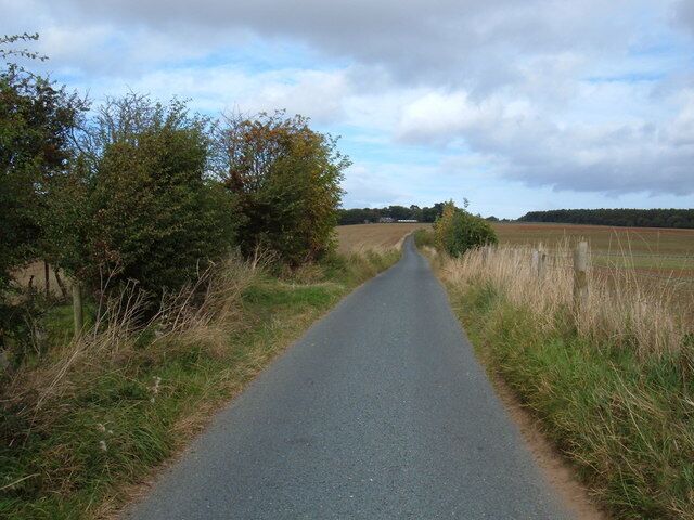 Moor Lane North of East Ayton