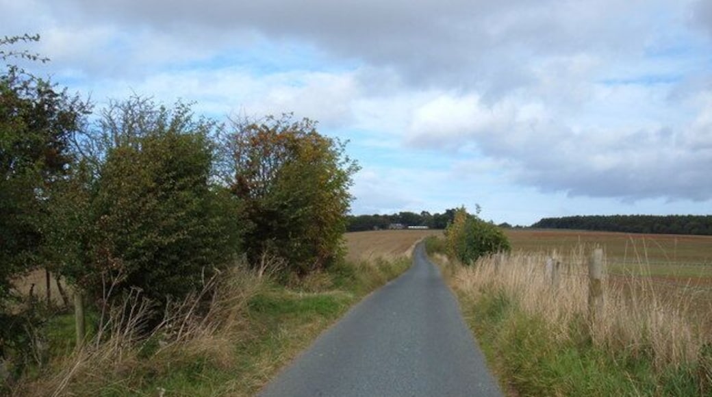 Moor Lane North of East Ayton