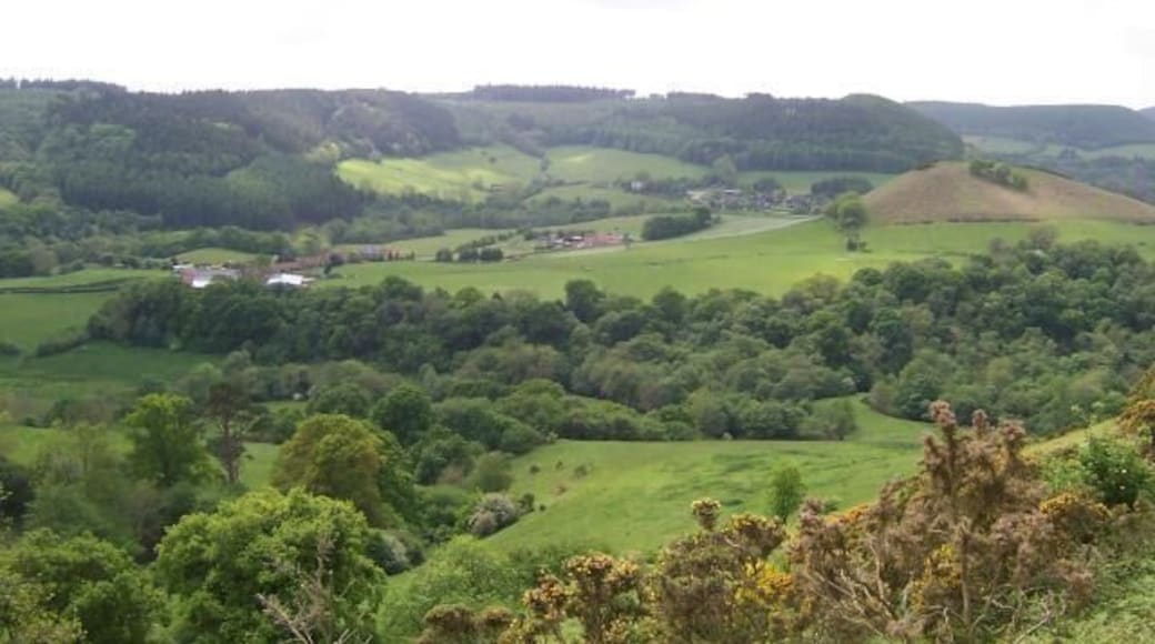 From L to R, Bridge Farm, Howden Farm, Langdale End and Howden Hill
