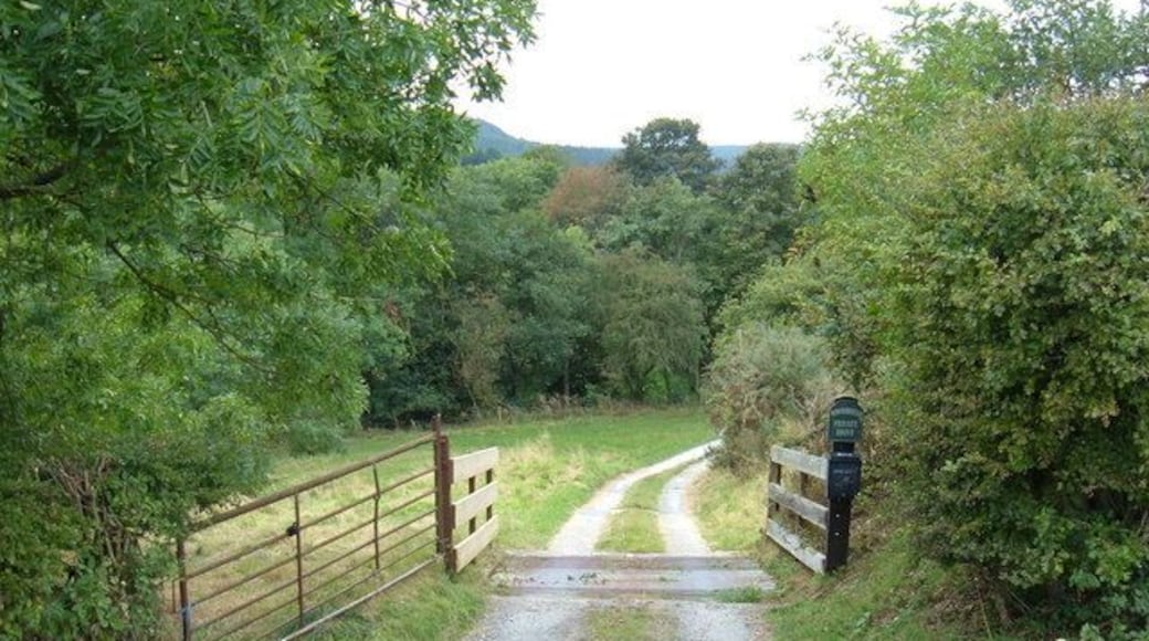 Track to Wood House