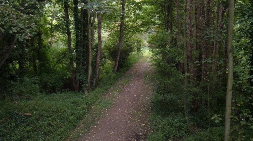 Disused Railway Track Bed, Wykeham