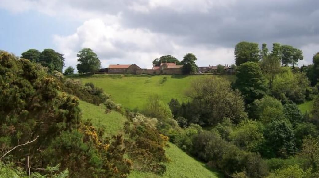 Looking south-east towards Broxa Village