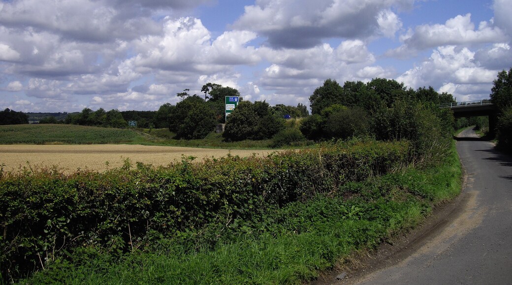 Back Lane with A21 bridge