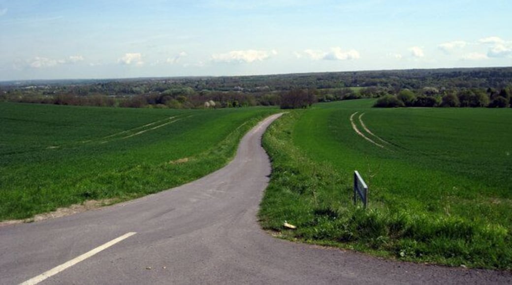 Nepicar Lane Towards Wrotham Heath