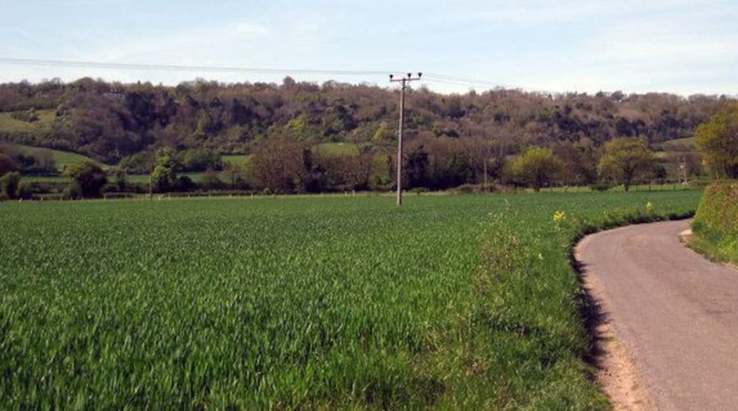 Field off Wrotham Water Road