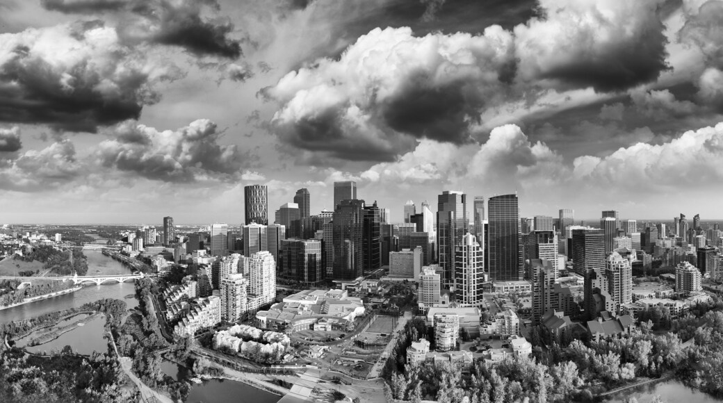 A cityscape with a river and bridge, surrounded by dense trees and modern skyscrapers.