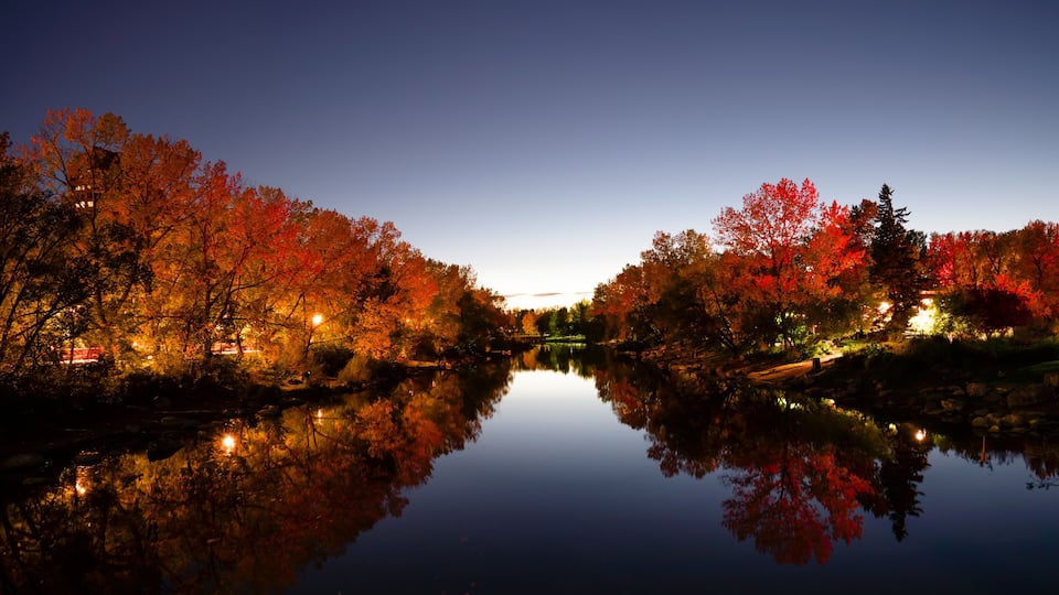 fall colors of autumn