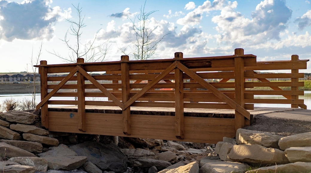 A bridge around the townhouse where I live in Airdrie, Alberta (Canada). I live here when I work, but actually live in Fort Collins, Colorado. It’s a nice bridge in a park nearby and I finally got some good light to take a photo of it.
#Bridge #Airdrie #Canada #Alberta #BlueSky #sonya7iii #zeiss55mm18
