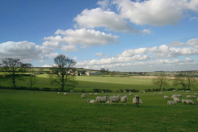 Farmland north west of Wortley