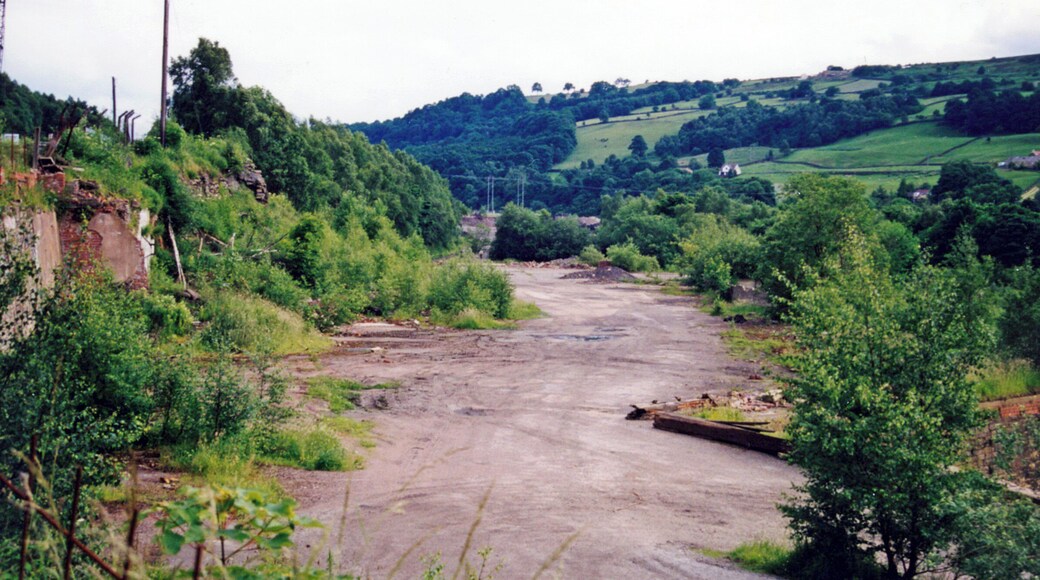 Site of former Deepcar station. View southward, towards Sheffield: ex-GCR Sheffield Victoria etc. - Penistone - Woodhead Tunnel - Manchester main line, electrified 6/54 but closed to through passenger trains 5/1/70, to goods 20/7/81; passenger services Sheffield - Deepcar - Barnsley Junction - Penistone ceased and line closed completely 16/5/83, but goods branch to Stocksbridge - hidden here behind bushes on the right, remains.
