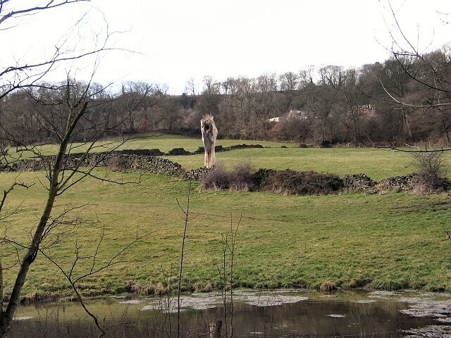Lone Vigil. This long-dead tree stands watch over the formation of a new pond by the A6102 at Deepcar. It has formed in a hollow right by the roadside at Town End, where a runoff channel passes under the road, and now has its own resident puddle-ducks. Either the runoff is blocked, or is not large enough to cope with the flow.