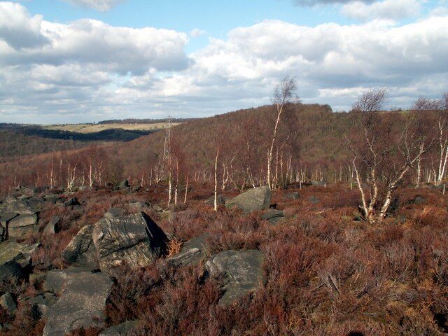 Wharncliffe Heath from the Crags
