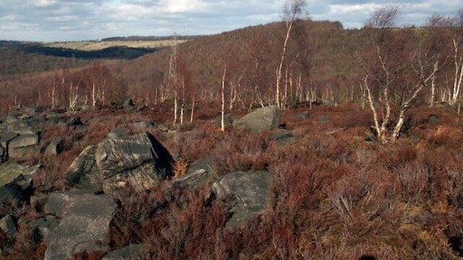 Wharncliffe Heath from the Crags