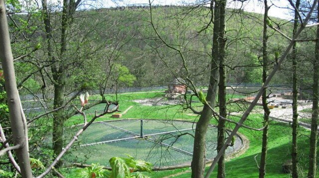 Stocksbridge water treatment plant