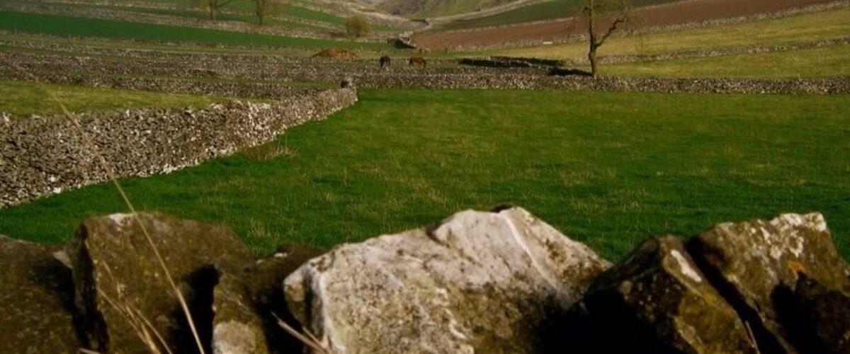 A stone wall, green grass, and rolling hills in the distance.