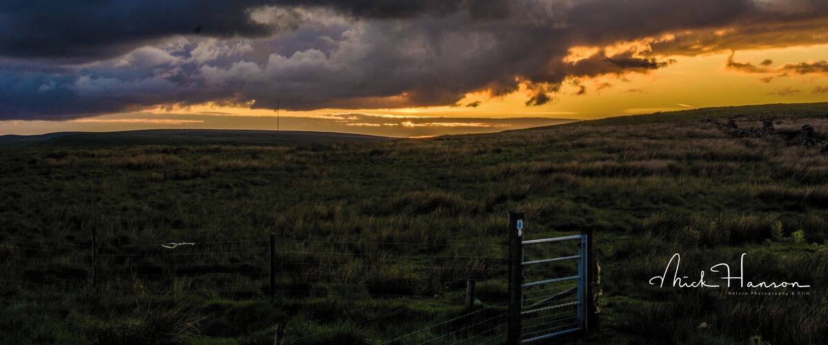 A grassy field with a fence and a gate, under a dramatic sky with clouds and a setting sun.